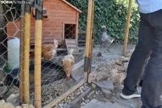 Presentación de Asovica Rural este lunes. /SN