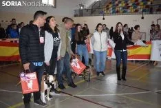 Foto 8 - Galer&iacute;a de im&aacute;genes: los perros Thay, Owen y Toby son los m&aacute;s guapos de Soria