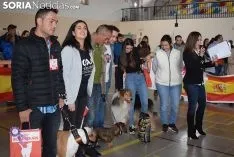 Foto 7 - Galer&iacute;a de im&aacute;genes: los perros Thay, Owen y Toby son los m&aacute;s guapos de Soria