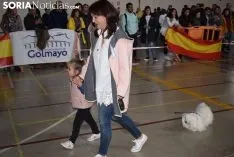 Foto 6 - Galer&iacute;a de im&aacute;genes: los perros Thay, Owen y Toby son los m&aacute;s guapos de Soria