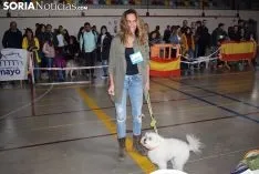 Foto 4 - Galer&iacute;a de im&aacute;genes: los perros Thay, Owen y Toby son los m&aacute;s guapos de Soria