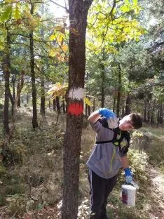 Foto 4 - Jornada de trabajo y convivencia en Tierras Altas