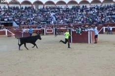 Suelta de vaquillas en La Chata. SN
