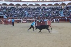 Suelta de vaquillas en La Chata. SN