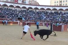 Suelta de vaquillas en La Chata. SN