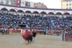 Suelta de vaquillas en La Chata. SN