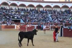 Suelta de vaquillas en La Chata. SN