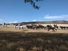 Una imagen de la jornada en Borobia. 