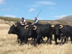 Una imagen de la jornada en Borobia. 