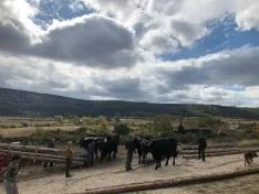 Foto 5 - La gastronom&iacute;a y la tradici&oacute;n carretera vuelven a darse la mano gracias a la Serrana Negra