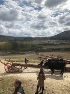 Foto 6 - La gastronom&iacute;a y la tradici&oacute;n carretera vuelven a darse la mano gracias a la Serrana Negra
