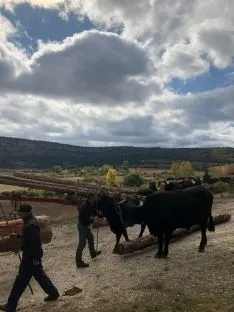 Foto 3 - La gastronom&iacute;a y la tradici&oacute;n carretera vuelven a darse la mano gracias a la Serrana Negra