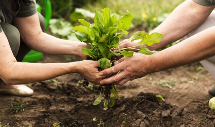 La convocatoria de ayudas agroambientales y de agricultura ecológica suma 17,5 M&euro; 