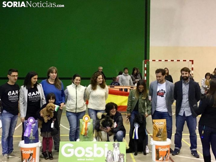 I Concurso El perro más guapo de Soria.