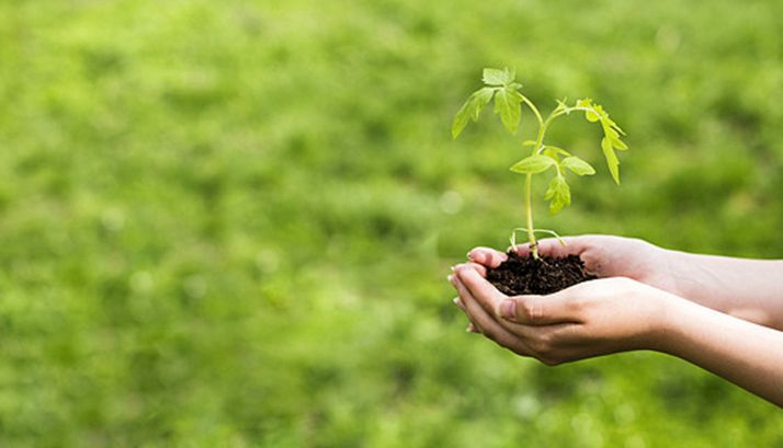 La Responsabilidad Social Corporativa, a debate este miércoles en FOES