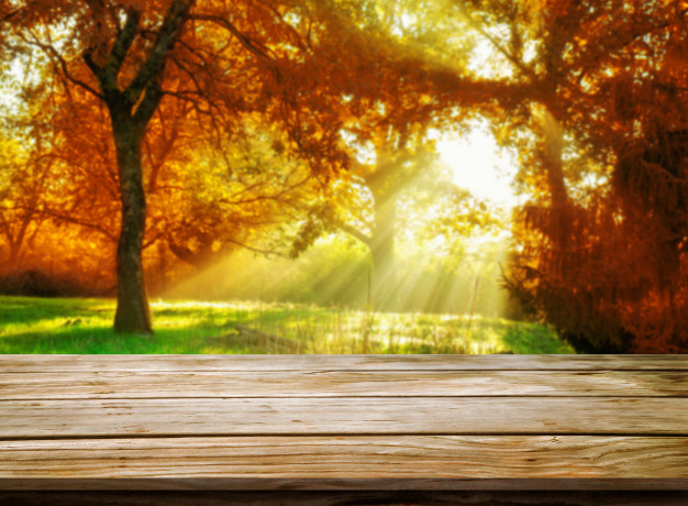 Prosigue el verano otoñal en la provincia de Soria