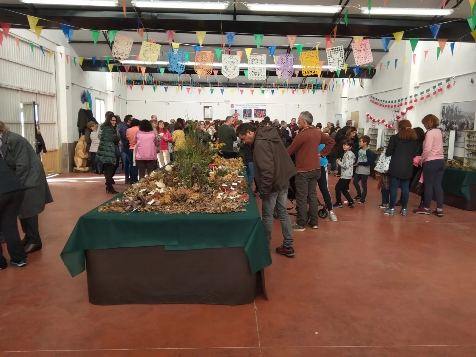 Borobia cierra hoy sus jornadas micológicas 2019.