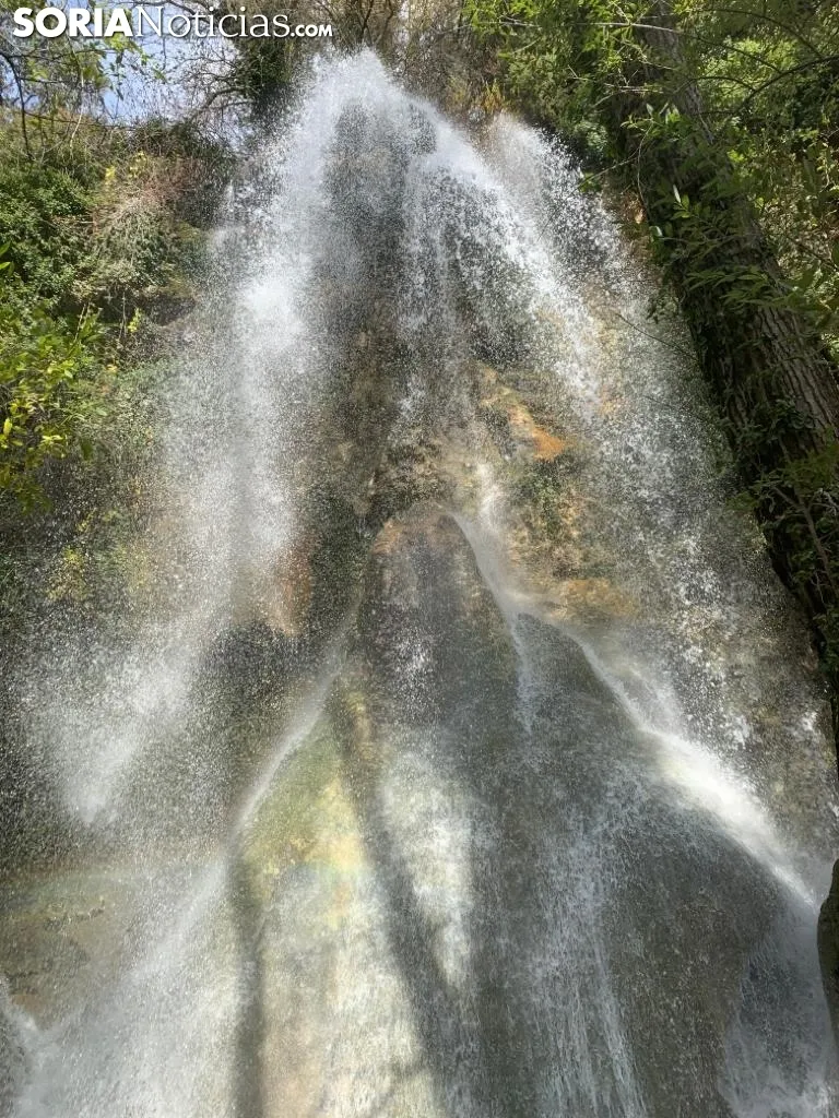 Foto 6 - La Toba: el medidor de las lluvias en Soria