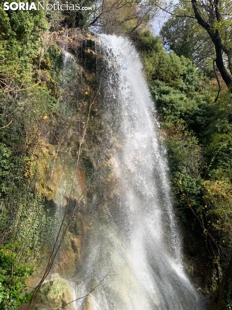 Foto 5 - La Toba: el medidor de las lluvias en Soria