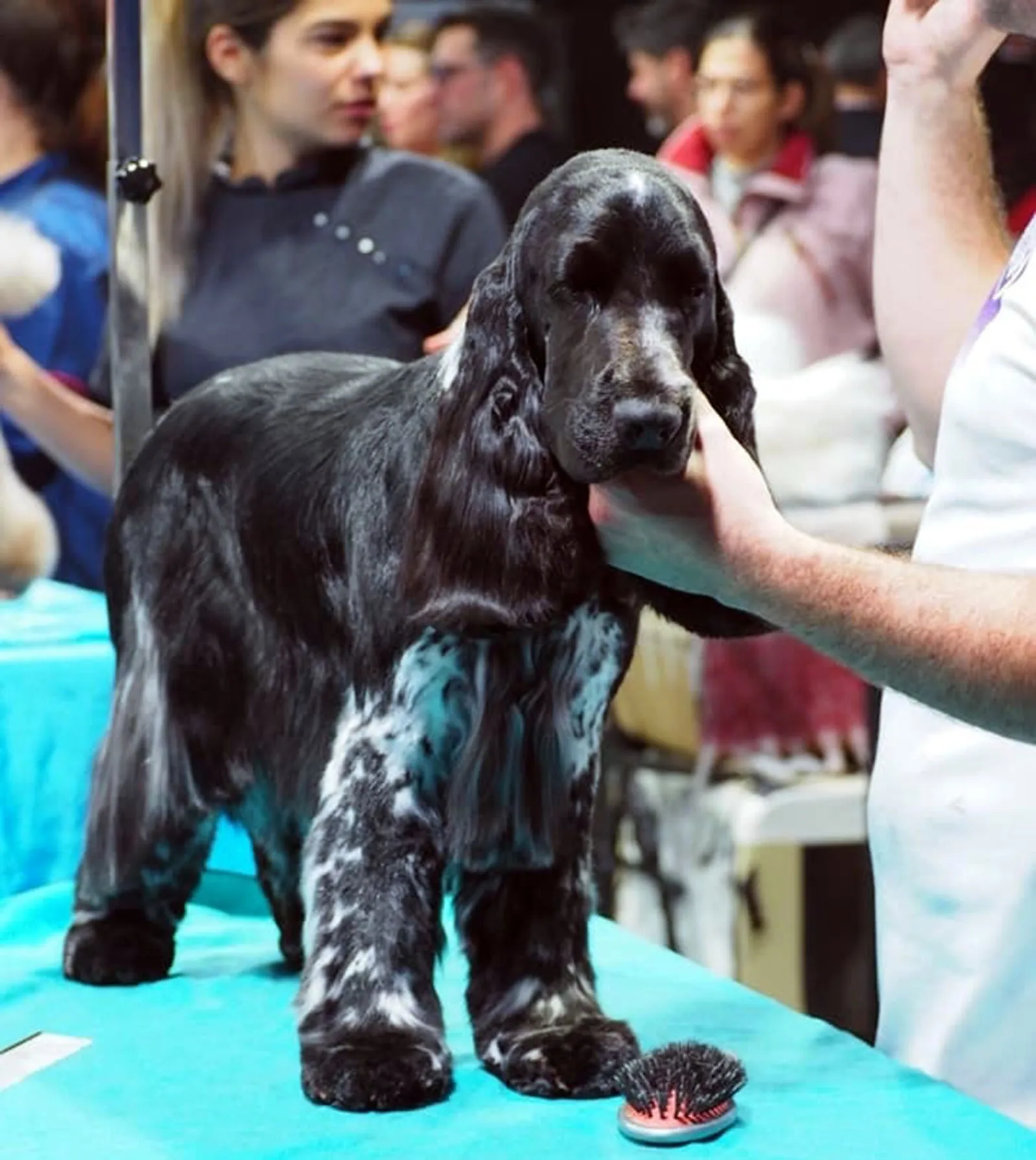 'Vader' en su presentación en Barcelona. 