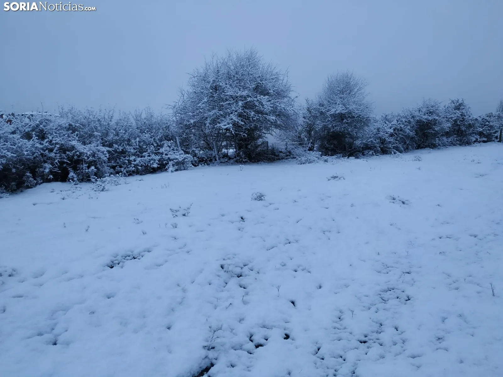 Alrededores de Covaleda después de las nieves. /Rosaura Mateo