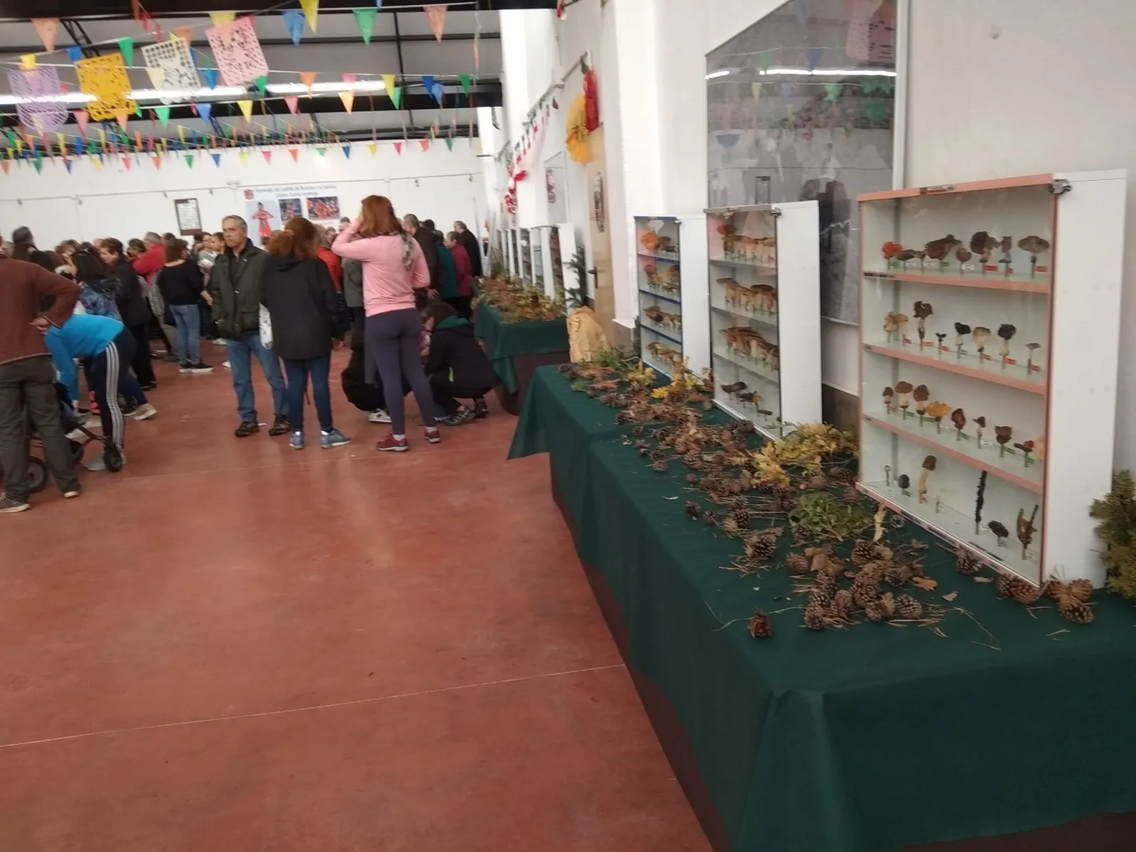 Borobia cierra hoy sus jornadas micológicas 2019.