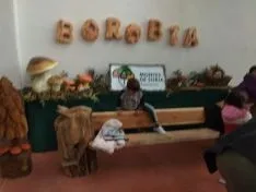 Borobia cierra hoy sus jornadas micológicas 2019.