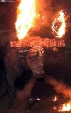 Toro Jubilo 2019.
