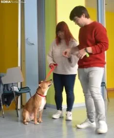 Una imagen del monográfico canino este sábado. /SN