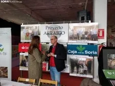 Presura 2019. sin 
