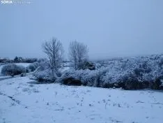 Alrededores de Covaleda después de las nieves. /Rosaura Mateo