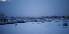 Alrededores de Covaleda después de las nieves. /Rosaura Mateo