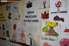 Jornadas Micológicas de Almarza.