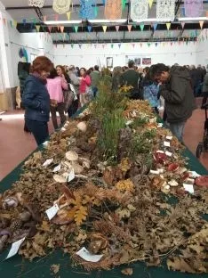 Borobia cierra hoy sus jornadas micológicas 2019.