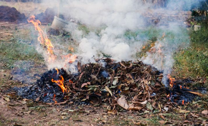 Quema de hojarasca en un huerto. 