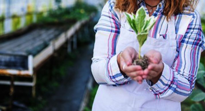 Sudán del Sur se interesa por la reforestación de la Comunidad