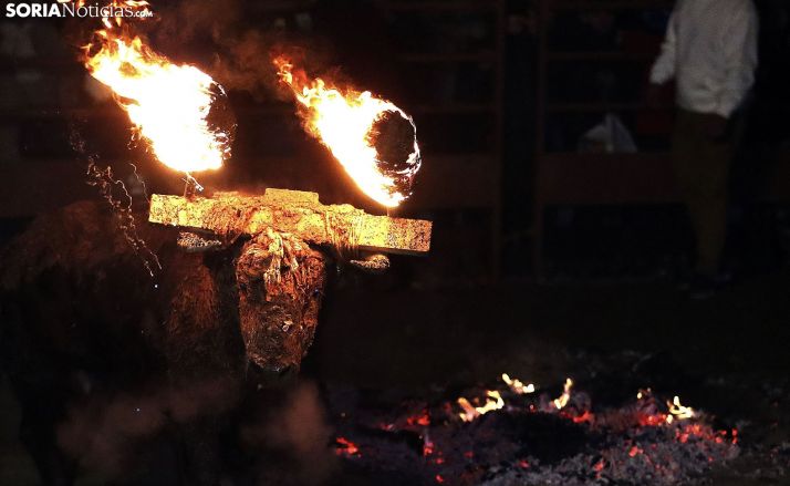 Una imagen del Toro Jubilo de Medinaceli este fin de semana. /SN