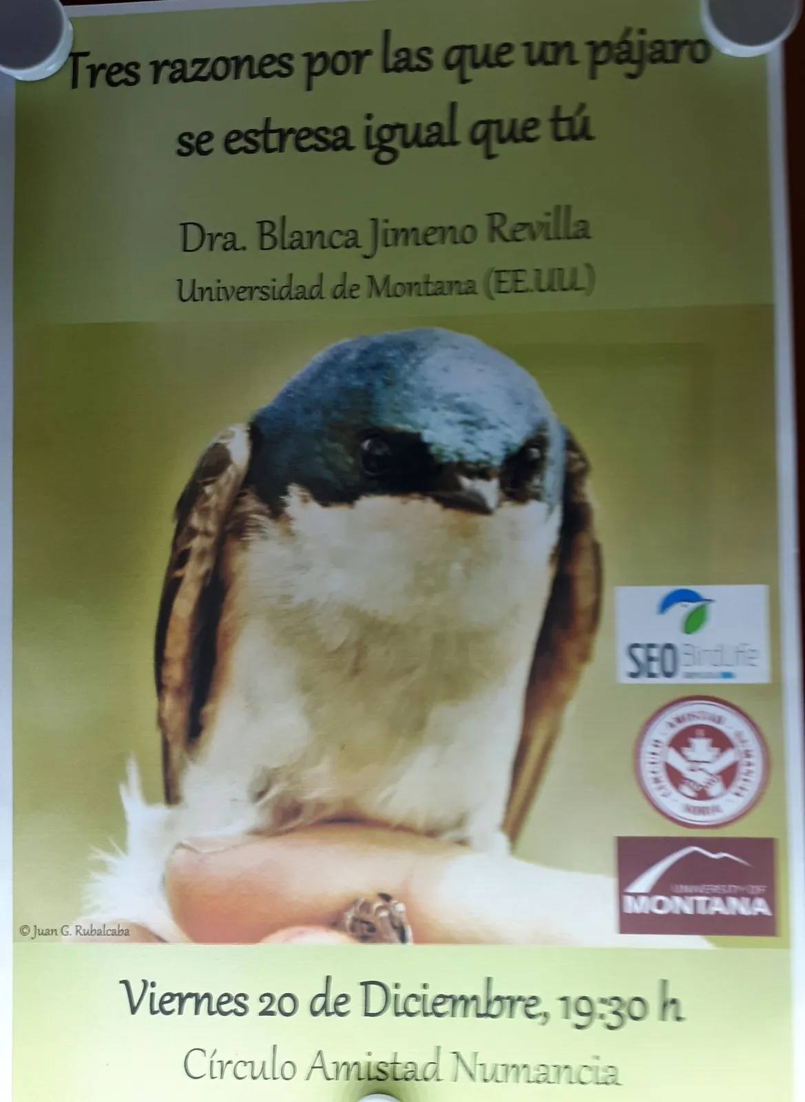 Foto 2 - El estr&eacute;s en los p&aacute;jaros y en los humanos, este viernes en el Casino