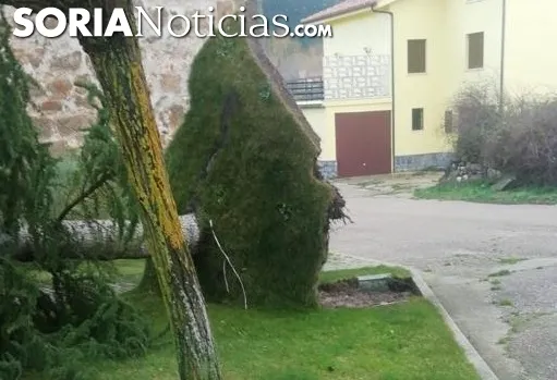 Borrasca Elsa en Soria.