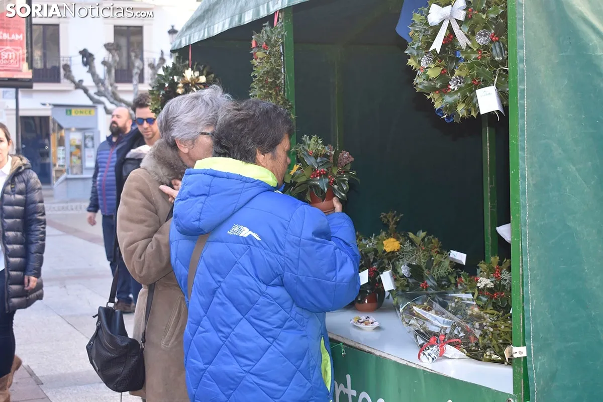 Lunes festivo en Soria.