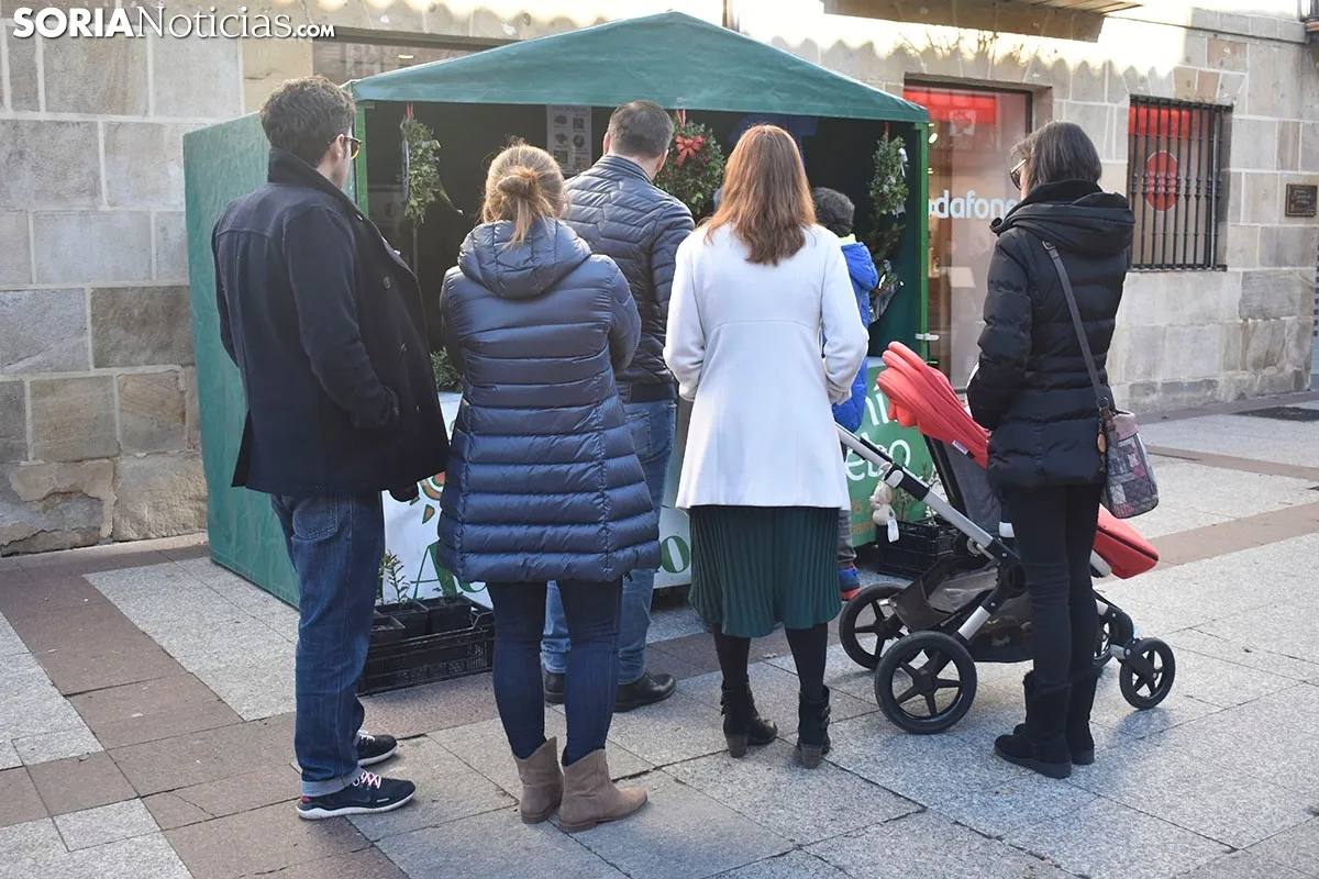 Lunes festivo en Soria.