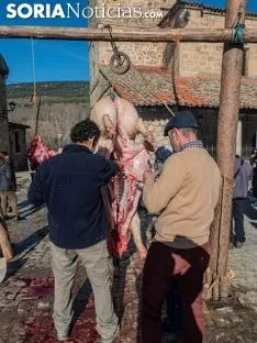 Una imagen de la jornada de sábado en Molinos. /SN