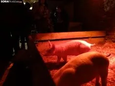 Una imagen de este sábado en Oncala. /SN