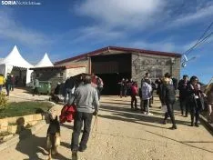 Una imagen de la mañana en Oncala. /SN
