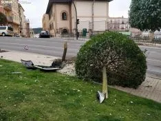 Foto 5 - Un turismo se lleva un &aacute;rbol en la curva de la Arboleda