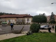 Foto 4 - Un turismo se lleva un &aacute;rbol en la curva de la Arboleda
