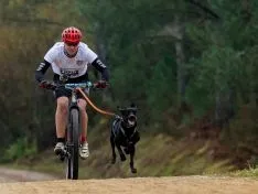 Sara Rodríguez con 'Bambú.
