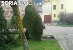 Borrasca Elsa en Soria.