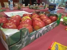 Foto 2 - Los hijos de los funcionarios sorianos conocen el trabajo de sus padres en una jornada de la Junta