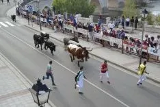 Foto 7 - Una temporada para el recuerdo